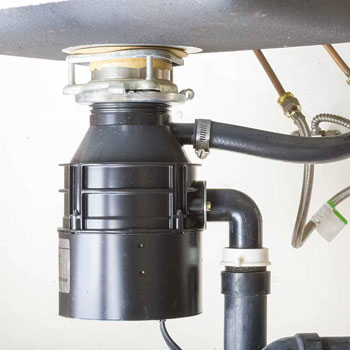 Garbage Disposal Cleaning